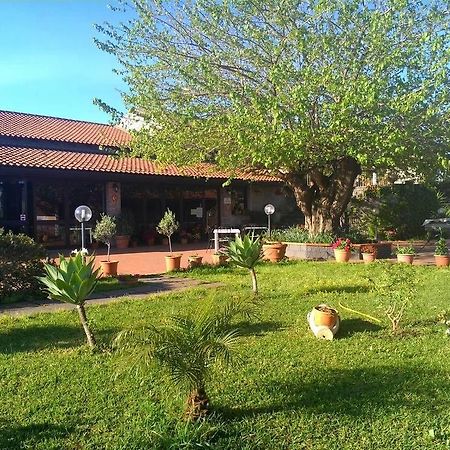 Agriturismo Il Pozzo Antico マスカリ エクステリア 写真