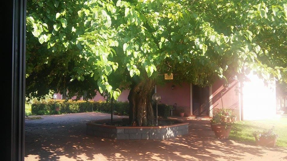 Agriturismo Il Pozzo Antico マスカリ エクステリア 写真