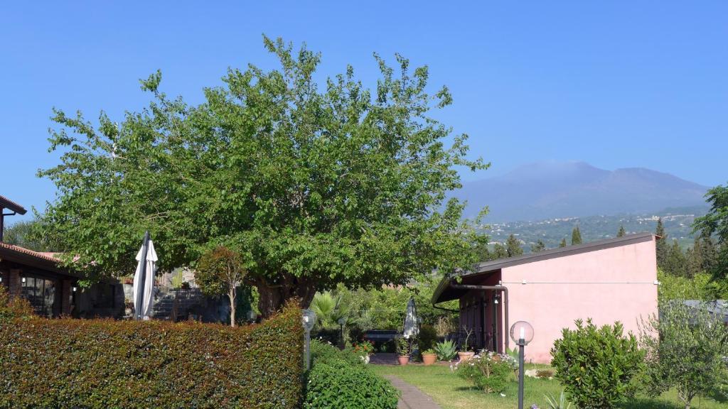 Agriturismo Il Pozzo Antico マスカリ エクステリア 写真