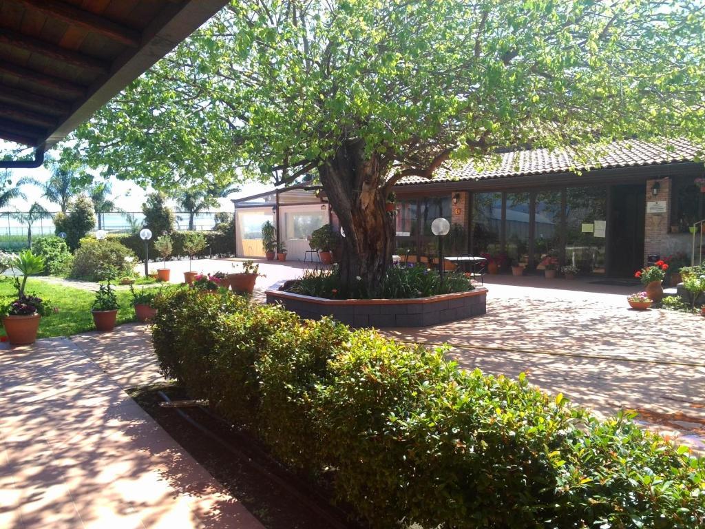 Agriturismo Il Pozzo Antico マスカリ エクステリア 写真